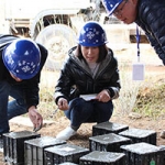 资料员近年来，为什么比较缺