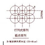 桥梁墩身混凝土施工中容易出现的问题处理和分析